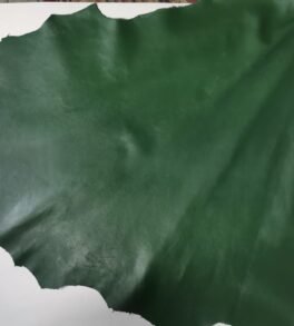 WhatsApp Image 2025-08-19 at 10.10.25 AM