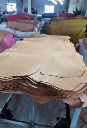 WhatsApp Image 2025-08-19 at 4.38.53 PM