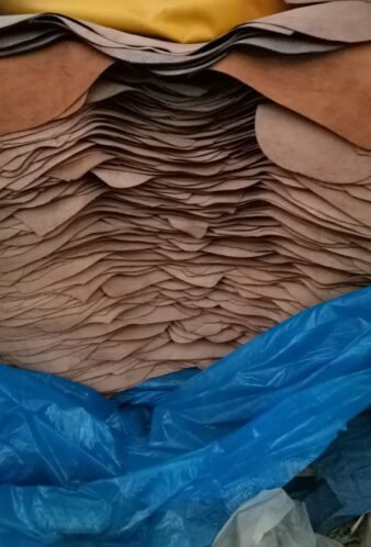 WhatsApp Image 2025-08-19 at 4.40.37 PM