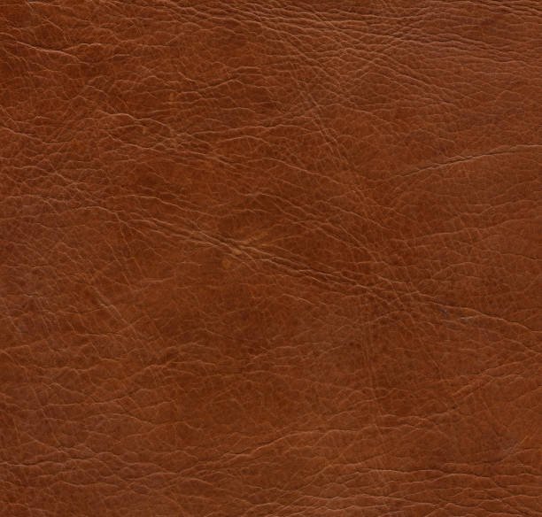 Premium Goat Finished Leather for shoes, bags and leather goods by Orvion Leather Pvt. Ltd.