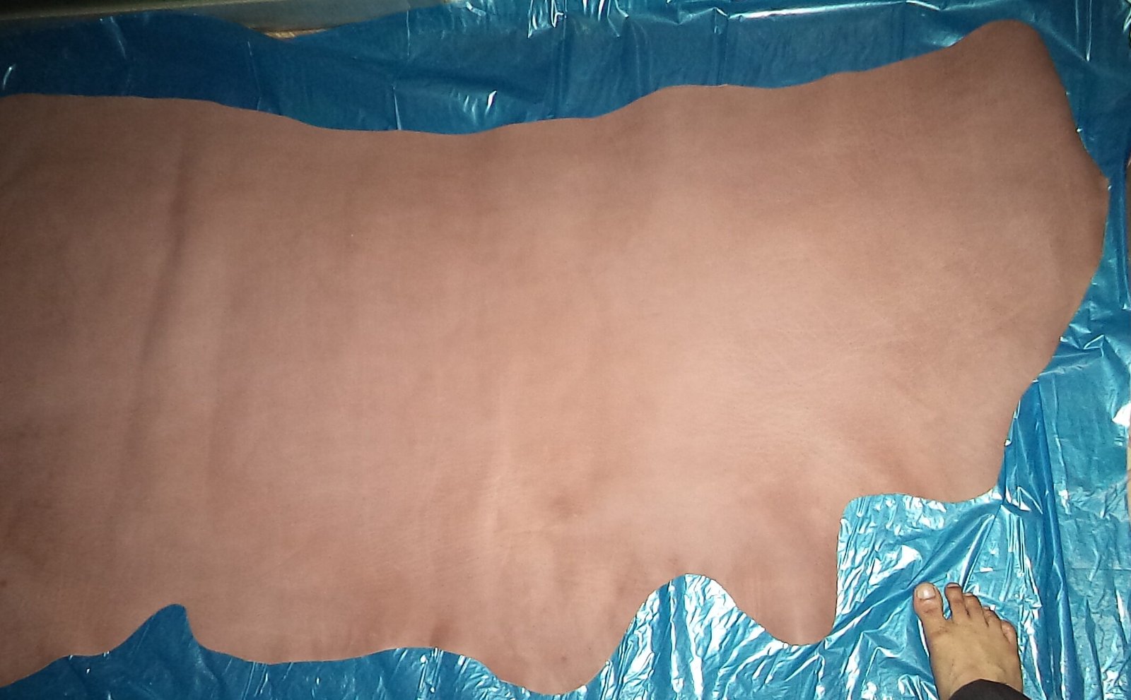 Best Cow Crust Leather Supplier in Bangladesh